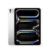 11-inch iPad Pro M4