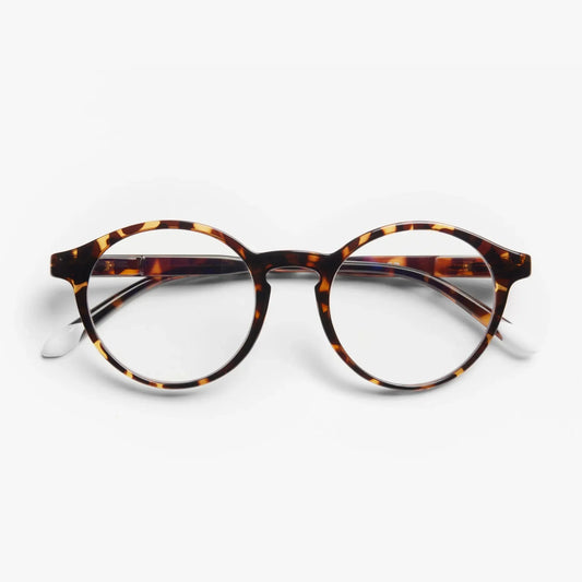 BARNER GLASSES -Le Marais Tortoise Glossy