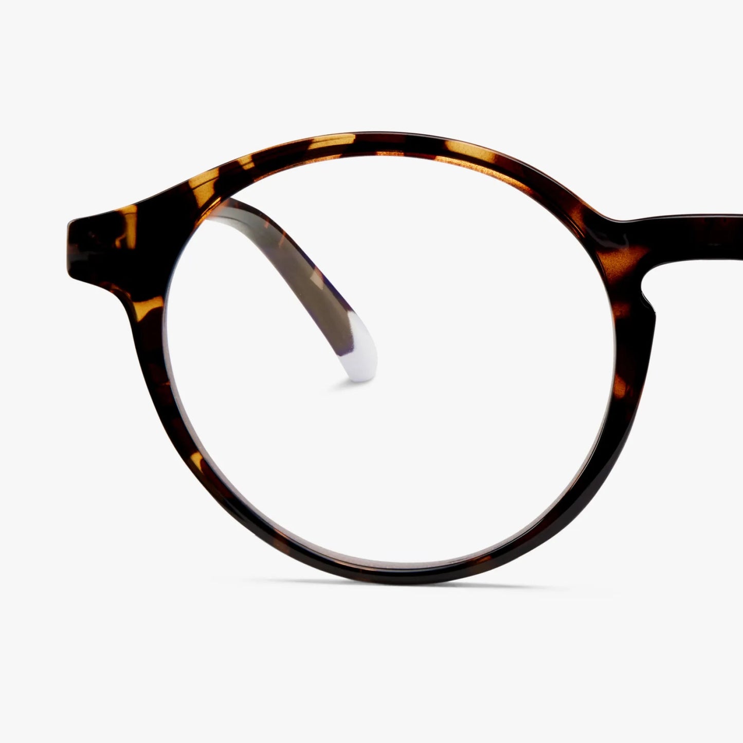 BARNER GLASSES -Le Marais Tortoise Glossy