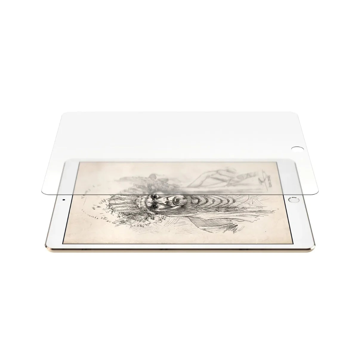 Next One iPad 10.2 inch Scribble | Screen protector