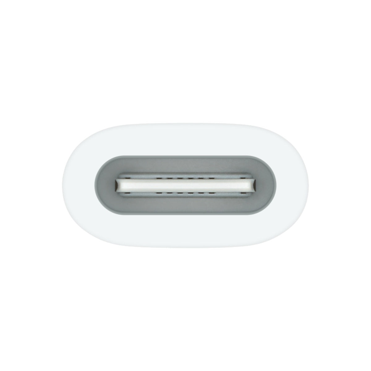 USB-C to Apple Pencil Adapter