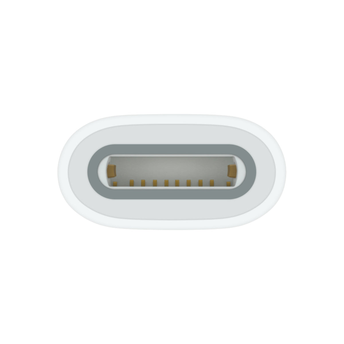 USB-C to Apple Pencil Adapter