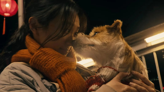 Пристигна овогодишниот кинески новогодишен краток филм на Apple