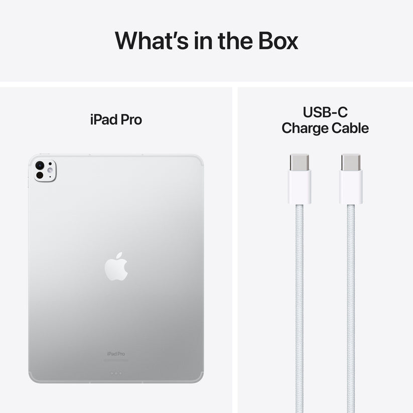 iPad_Pro_13_M4_Cellular_Silver_PDP_Image_Position_9__WWEN