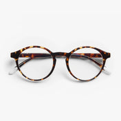 BARNER GLASSES -Le Marais Tortoise Glossy