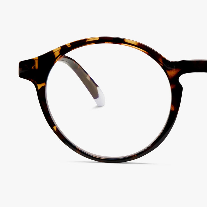 BARNER GLASSES -Le Marais Tortoise Glossy