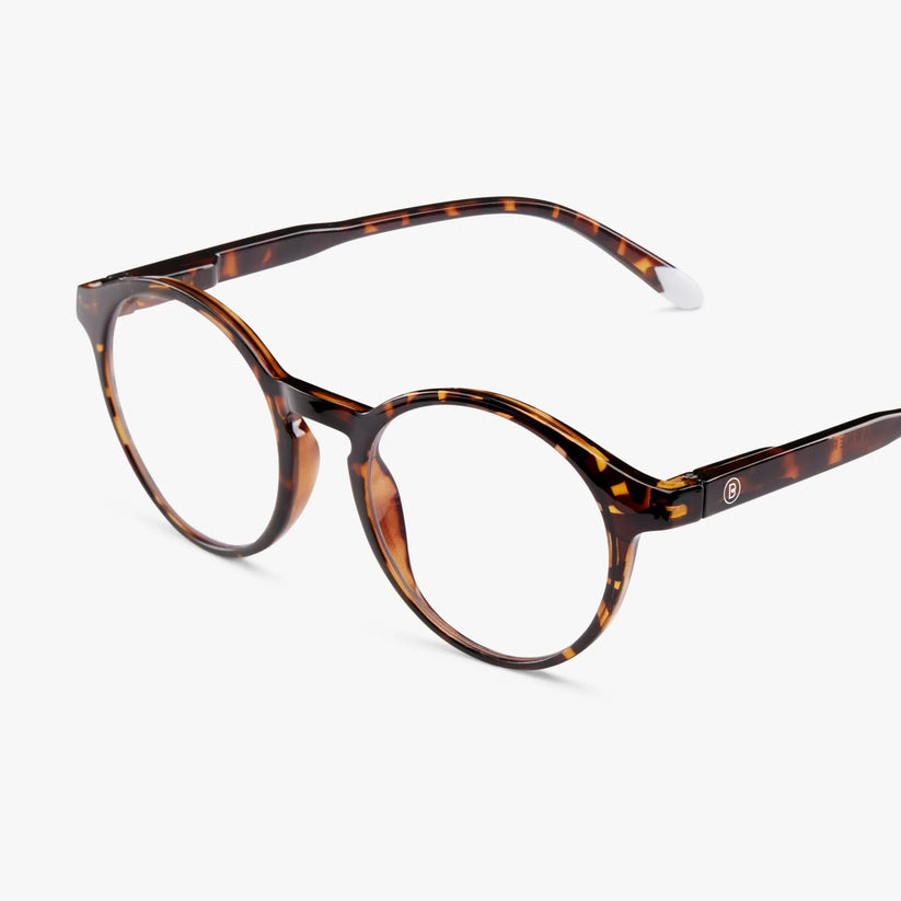BARNER GLASSES -Le Marais Tortoise Glossy