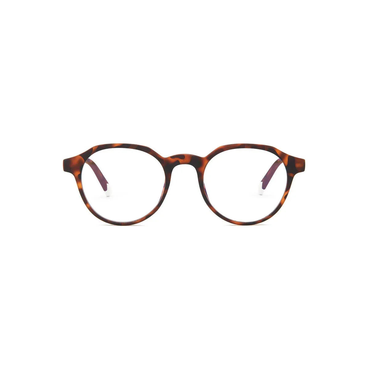 Barner - Chamberi - Tortoise