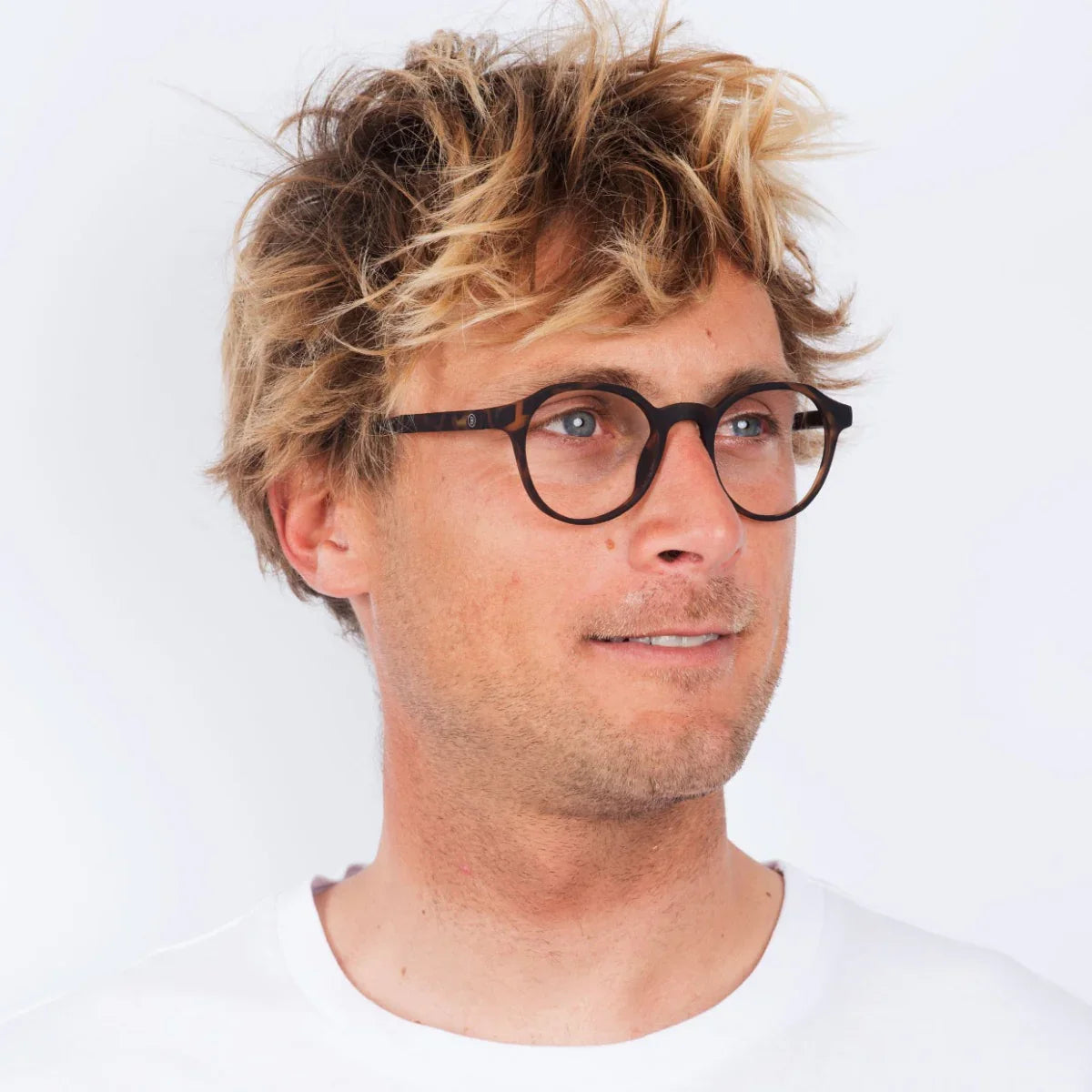 Barner - Chamberi - Tortoise