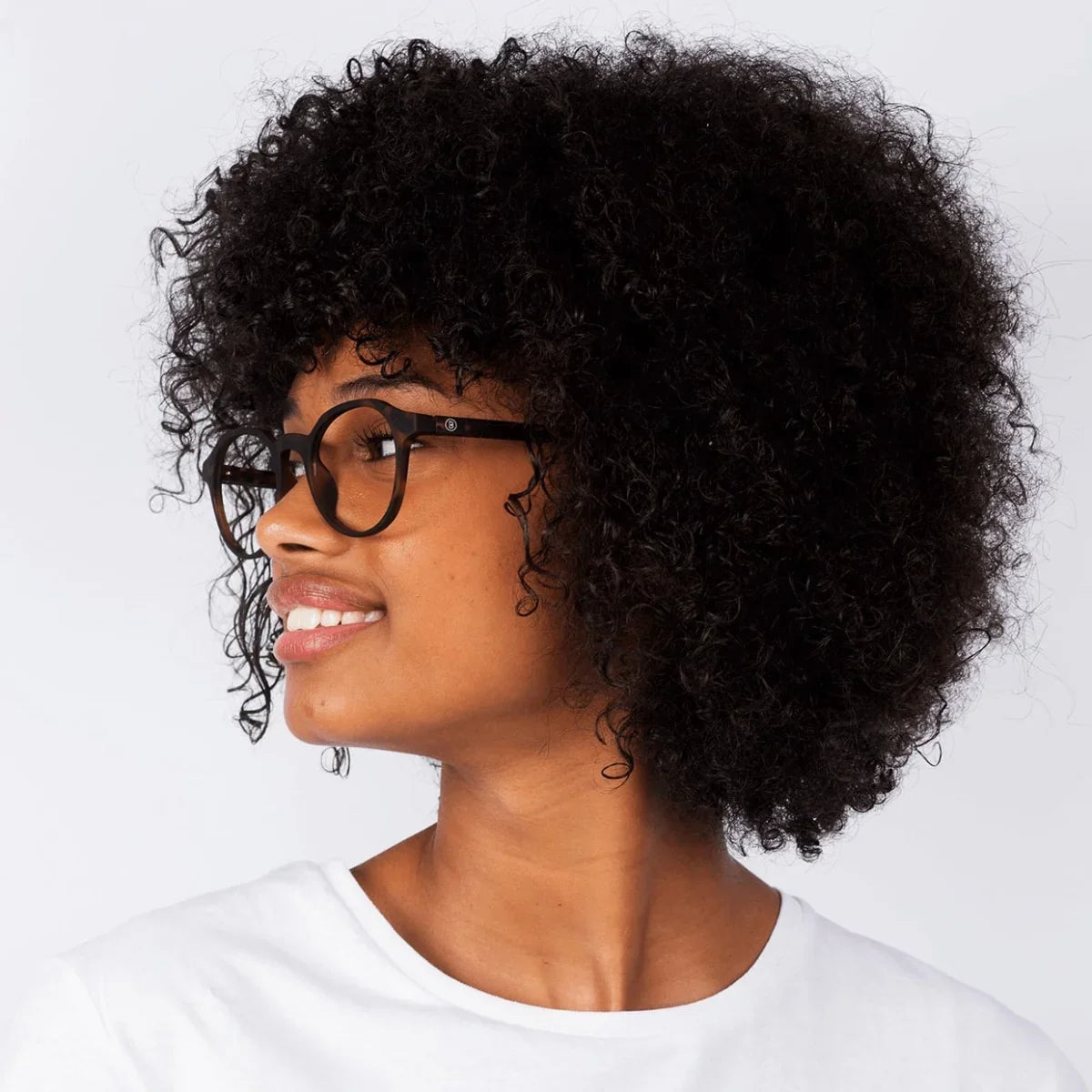 Barner - Chamberi - Tortoise