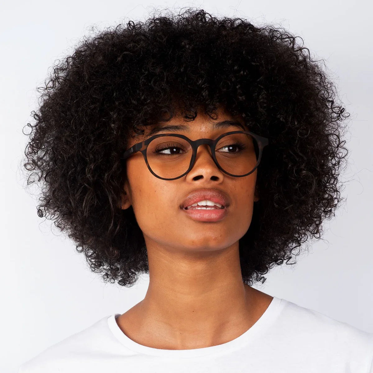 Barner - Chamberi - Tortoise