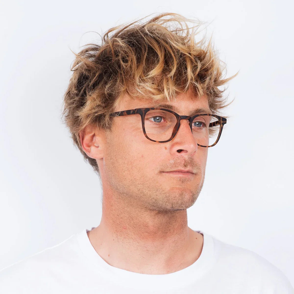 Barner - Dalston - Tortoise