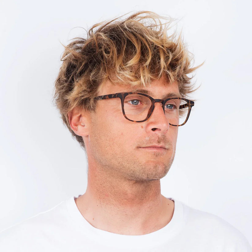 Barner - Dalston - Tortoise