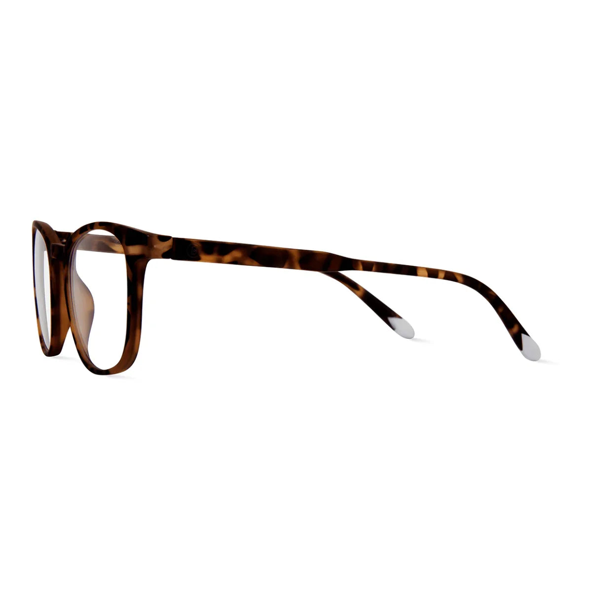 Barner - Dalston - Tortoise