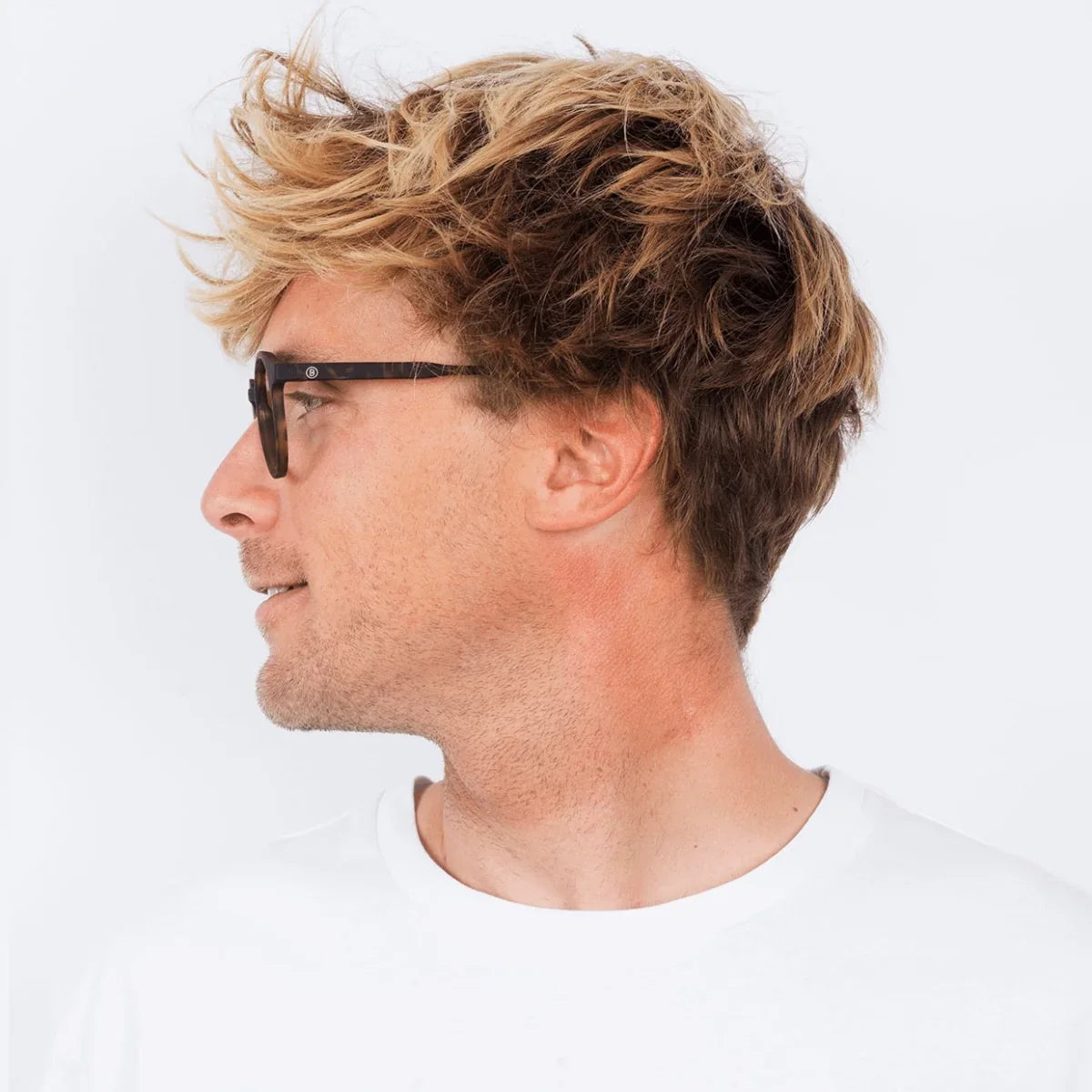 Barner - Le Marais - Tortoise