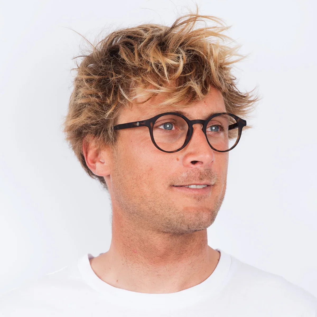 Barner - Le Marais - Tortoise