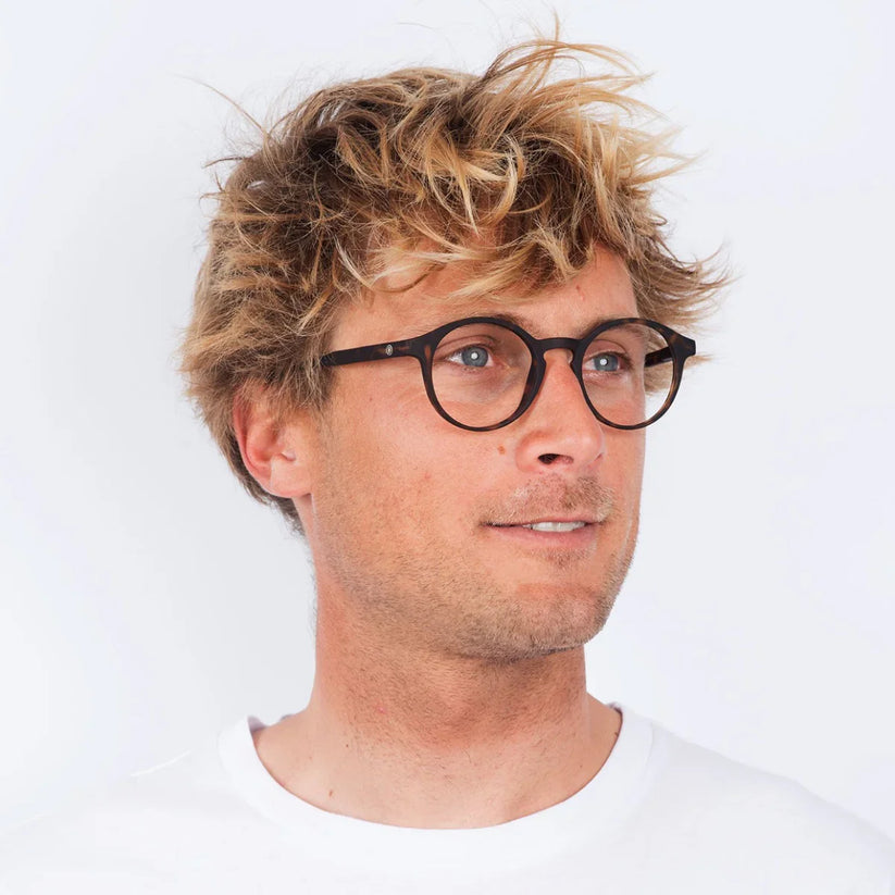 Barner - Le Marais - Tortoise