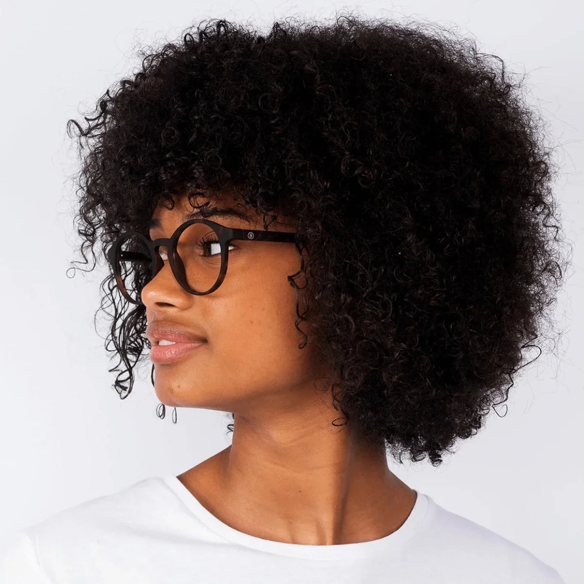 Barner - Le Marais - Tortoise