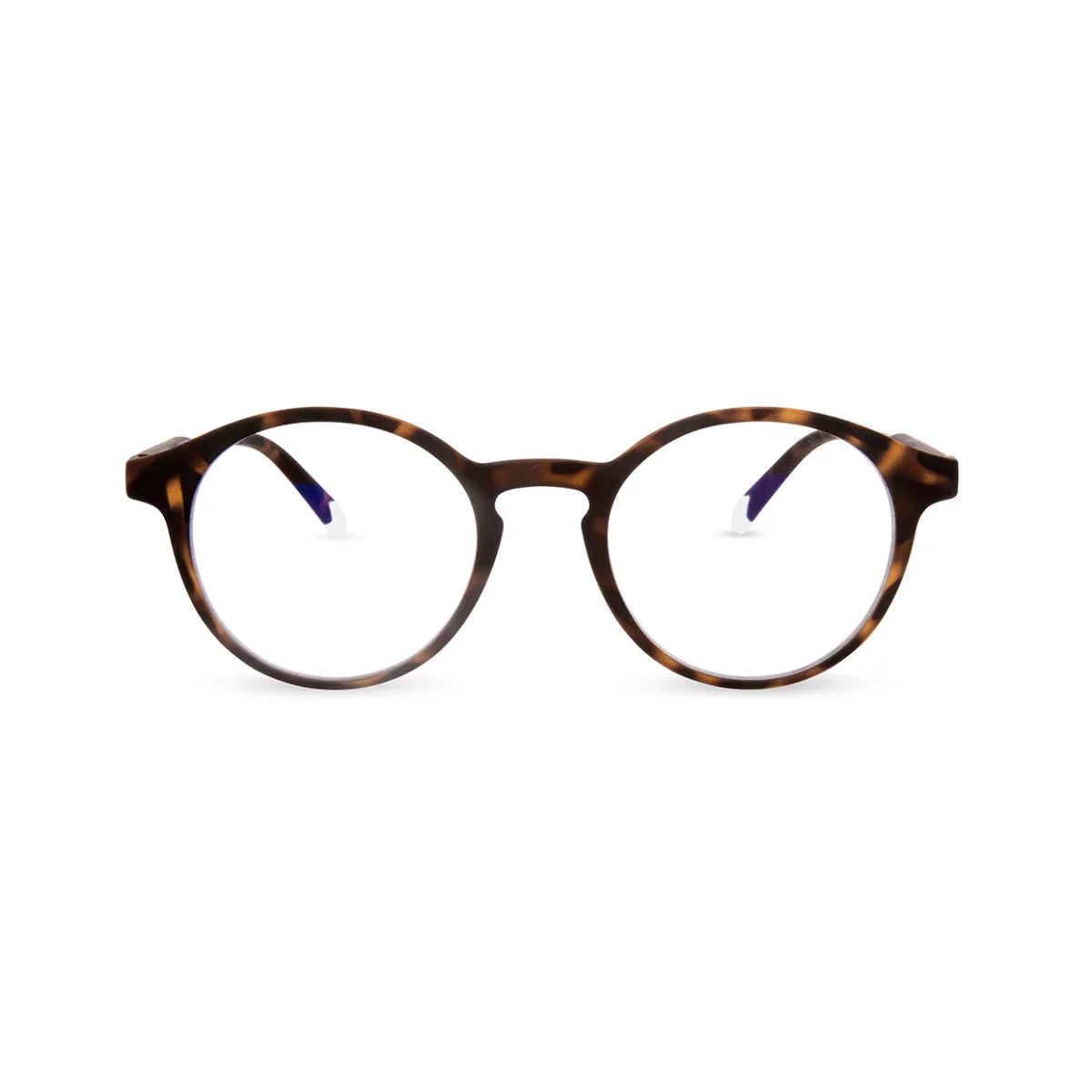 Barner - Le Marais - Tortoise