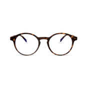 Barner - Le Marais - Tortoise