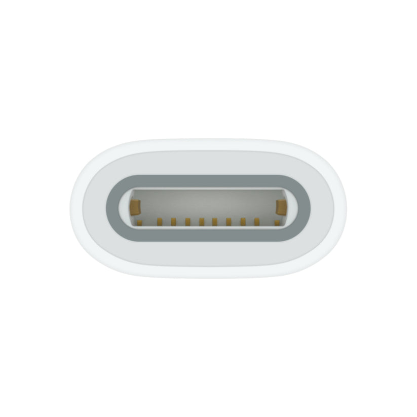 USB-C to Apple Pencil Adapter