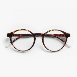 BARNER GLASSES -Le Marais Tortoise Glossy