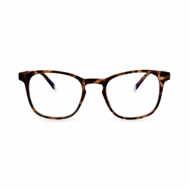 Barner - Dalston - Tortoise